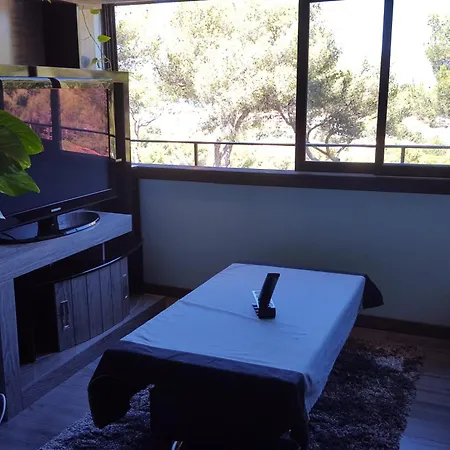 Apartman With Shared Pool In Saint-mandrier *